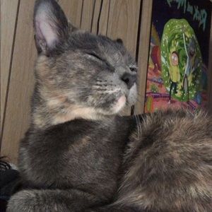 Meet your Posher, Janine